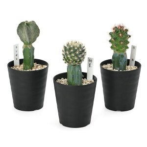 iAjT{e@ڂ؃T{e@܂@3i1j