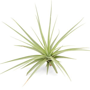 iϗtAjGA[vc@`WA@t[ZA@GXsm[T@WCAgtH[i1j