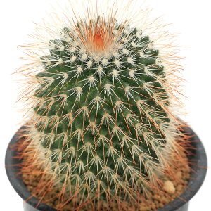 iAjT{e@}~A@́XہiVEWE}j@3i1j