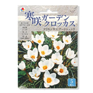 iϗtAj炫K[fNbJX@@NTTX@A[hVFN@5li1܁j