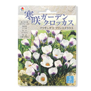 iϗtAj炫K[fNbJX@@NTTX@vXNEX@5li1܁j