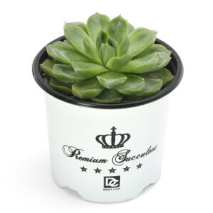 iAjGPxA@r^[`F[@3D5i1j