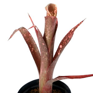 iϗtAjrxMA@sNVy@4i1j@uA@^NuA