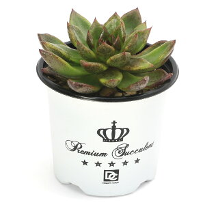 iAjGPxA@ubh}A×[Ai@3i1|bgj