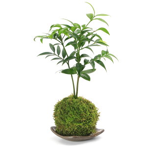 iϗtAjۋʎMtIۋʁ@iMi1j@vqā@і