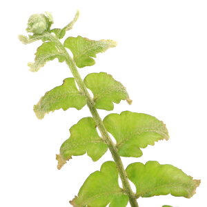 iR쑐jV_irjzErJWiPяOjqt@3i1|bgjΐN