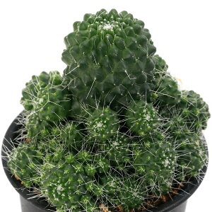 iAjT{e@}~A@sRXg@3i1j