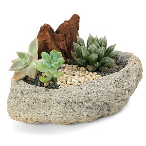 iϗtAj܂nI`Aƃv`̊񂹐A@nΐA@STCYi1jn⍻@o[N@@v[g