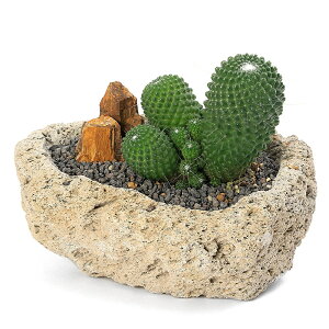 iϗtAjT{e@}~A@}[NVAi@Q@nΐA@STCYi1jn⍻@؉΁@@v[g