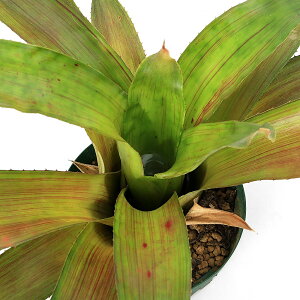 iϗtAjlIQA@[AXgA[^@4i1j^NuA