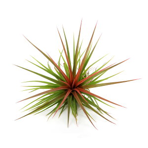 iϗtAjGA[vc@`WA@CtHXgbhi1j