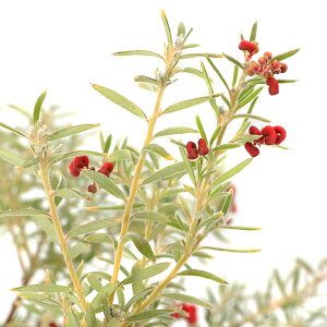 iϗtAjOrA@v[_C~i@6i1j