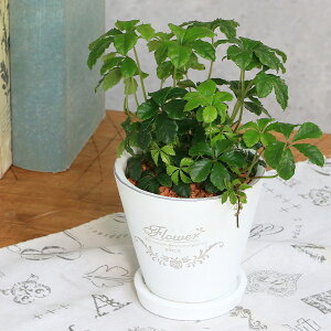 iϗtAjVK[oC@tOhEh|bgXSAi1jMt@Z~X@A@@@v[g