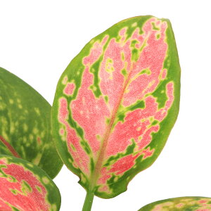 iϗtAjAOIl}@bho^C@2D5i1j