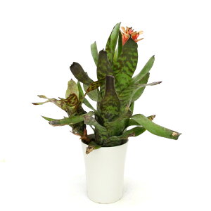 iϗtAj_@JjXg@ZCfAi@5@JԏIi1j^NuA