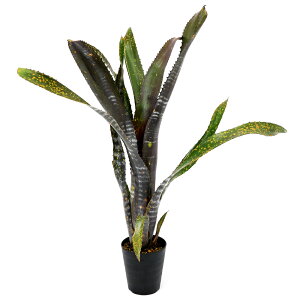 iϗtAj_@rxMA@Ir@3i1j