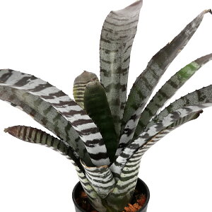 iϗtAjGNA@`eBj[@fubNG{j[f@3D5`4i1j^NuA