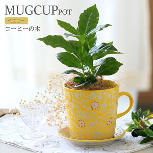 iϗtAjR[q[̖؁@}OJbv|bg@CG[i1jRRVt@Co[i}`Oށjt