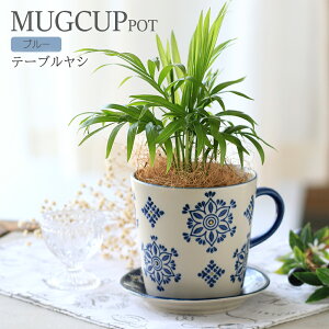 iϗtAje[uV@}OJbv|bg@u[i1jMt@CeA@@v[g