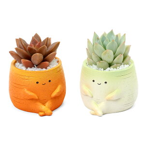 iAj܂v`@؁@܂i1jł܂鍻