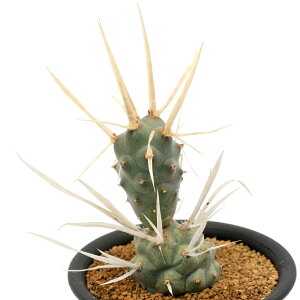 iAjT{e@etJN^X@h@3i1j