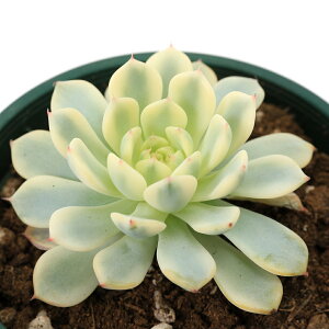 iAjGPxA@sN~j}с@3i1j