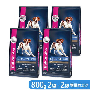 yʂ܂z[Jko@VjA@CX@800g×2܁@{2܂܂@VjAp@Sp@7Έȏ@Wbvt@ll1_@֓