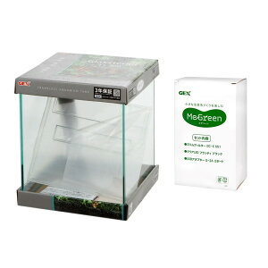 AEgbgi@GEX@KX@OXeA@FL200MeGreen@X^[gZbg@󂠂@20cm@֓