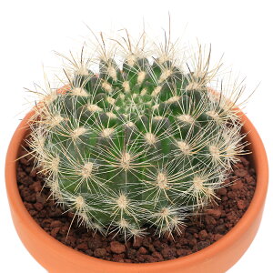 iAjfĔ@T{e@ʋʁi^TC_}j@3i1j