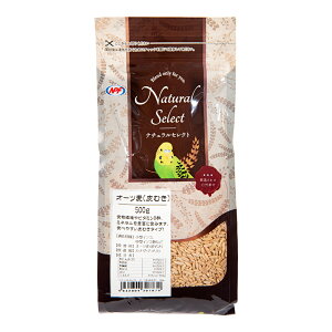 NPF�@�i�`�������Z���N�g�@�I�[�c���i��ނ��j�@500g�@�֓�������