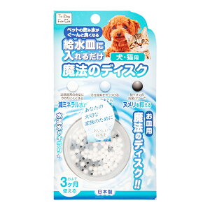 B|blast@@̃fBXN@Lp@֓