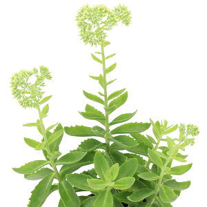 iϗtAjZ_@I[^WC@3D5i1jJԏI