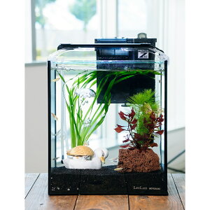 i߂jijȒP_J琅CAEgZbg@_J@~bNXt@25cm@JKeqverD@{Bl