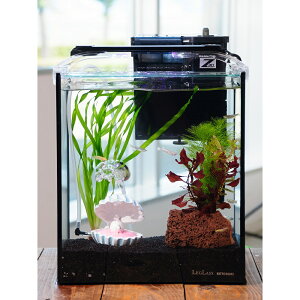 i߂jijȒP_J琅CAEgZbg@_J@~bNXt@25cm@^LverD@{Bl