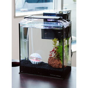 iMыjijȒPAJq琅CAEgZbg@AJq@STCYt@25cm@^LverD@{Bl