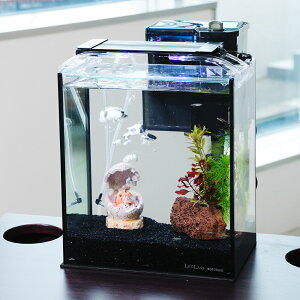 iMыjijȒPAJq琅CAEgZbg@AJq@STCYt@25cm@̗verD@{Bl