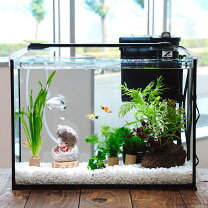 楽天市場】ミッキー 水槽の通販