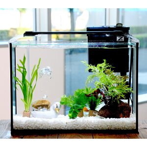 iYjijȒPs|p[琅CAEgZbg@40cm@JKeqverD@{Bl@֓