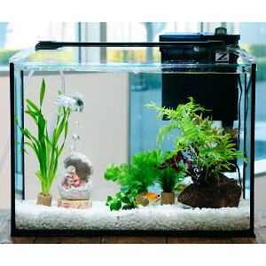 iYjijȒPs|p[琅CAEgZbg@40cm@̗verD@{Bl@֓