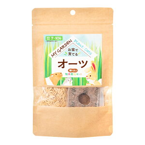 C[X^[@}CK[f@q͔|Zbg@I[c@֓