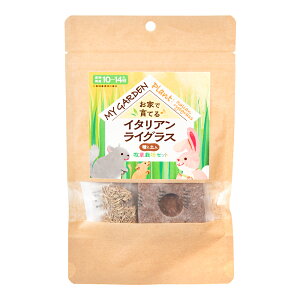 C[X^[@}CK[f@q͔|Zbg@C^ACOX@֓