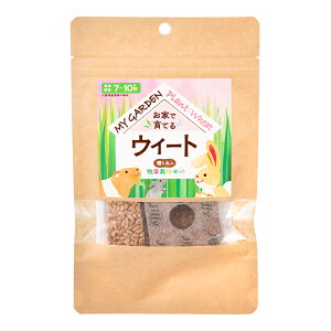 C[X^[@}CK[f@q͔|Zbg@EB[g@@֓