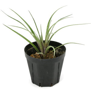 iϗtAjGNA@No[^@LEC@3i1juA