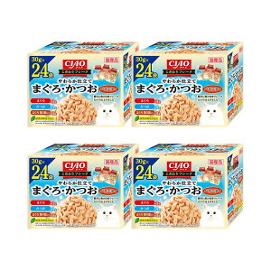 Ȃ΁@CIAO@`I@t[N@24ܓ@܂EoGeB@30g×24×4@֓