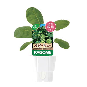 iϗtAjJS@ؕc@Lxc@xr[V[@3i1|bgj@ƒ؉