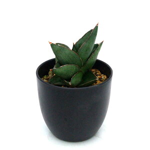 iϗtAj_@TXxA@IynEX@4i1j