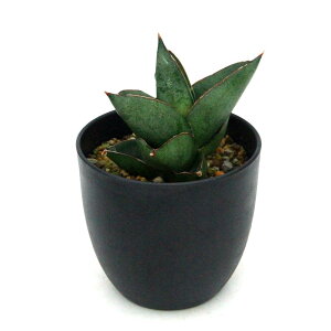 iϗtAj_@TXxA@IynEX@4i1j