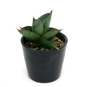 iϗtAj_@TXxA@IynEX@3D5i1j