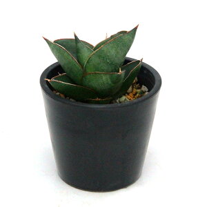 iϗtAj_@TXxA@IynEX@3D5i1j