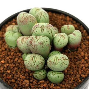 iAjRmtBc@XeBs^c@2i1j@֓